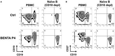 Intrinsic Plasma Cell Differentiation Defects in B Cell Expansion with NF-κB and T Cell Anergy Patient B Cells